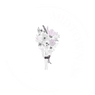 Columbia Midtown Florist