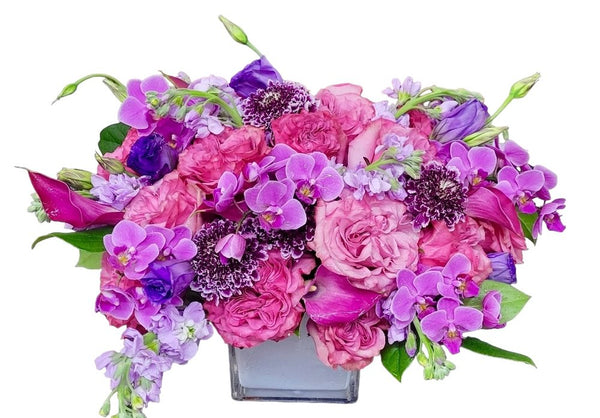 Spring Beauty
