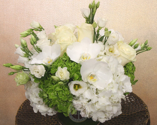 Spring White